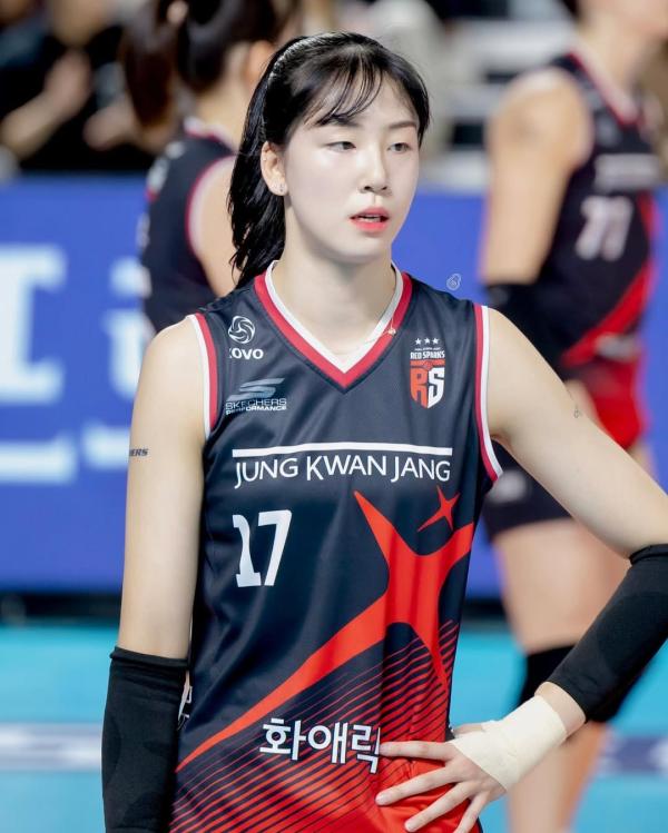 정호영, 디시트렌드 女배구 스타 1위 등극