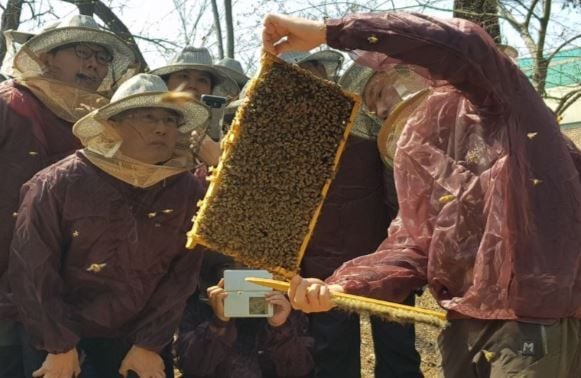 단돈 5만 원에 배울 수 있는 꿀보직?... '양봉' 교육