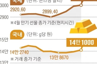 금값 3000弗 첫 돌파… “연내 3500弗”, ‘김치프리미엄’ 빠져 국내선 15% 하락