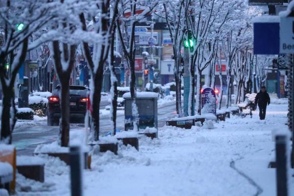 '3월 눈폭탄' 수도권 등 대설특보…중대본 1단계 가동