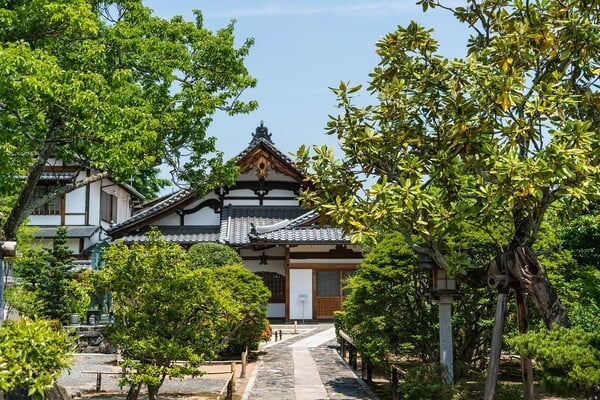 마쓰야마 가볼만한 곳, 도고온천부터 마쓰야마성까지