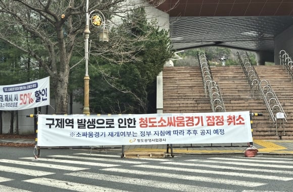 구제역에 소싸움 경기 직격탄…청도 소싸움 경기 일시 중단