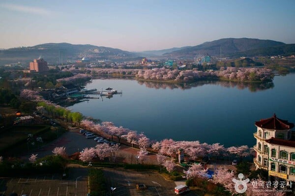 경주 가볼만한 펜션, 한옥부터 풀빌라까지 완벽한 숙소 선택은?