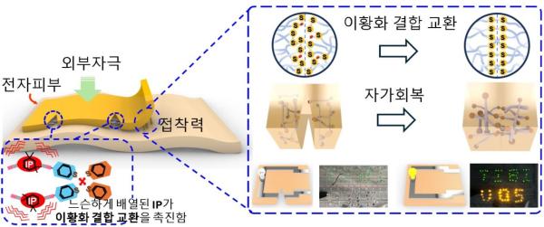 "상처 났을 때 붙이면 10초면 회복"…초고속 치유 신기술 나왔다