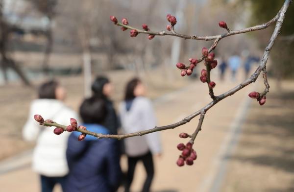 [내일 날씨]춘분 낮부터 포근·미세먼지 주의…꽃샘추위 끝날까