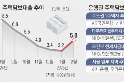 당국, 서울 區 단위 가계빚 관리… 다주택자·갭투자 대출 옥죈다