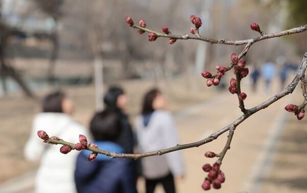 [오늘(20일) 날씨] 절기상 춘분, 낮 기온 최고 17도…전국이 맑은 날씨