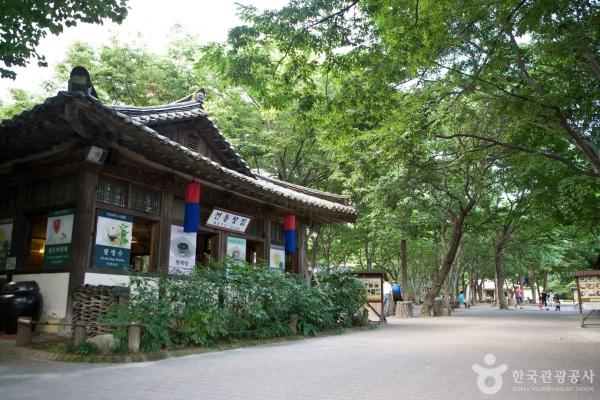 한국민속촌 근처 맛집 추천! 방문 후 꼭 가봐야 할 곳은?