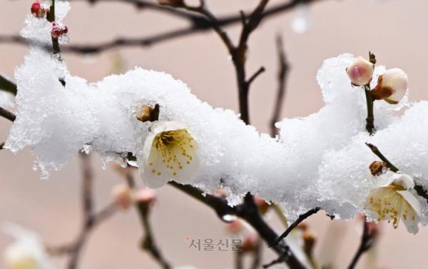 꽃보다 해남…힐링정원과 만남…땅끝까지 신남