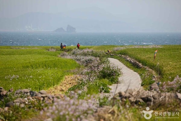 제주 서귀포서 만나는 힐링 스팟, 어디로 떠날까?