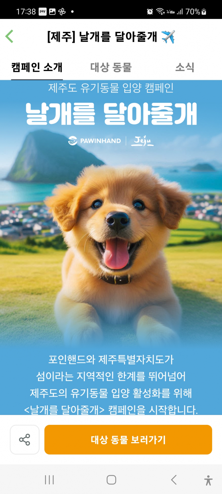 제주도가 동물등록제와 마당개 중성화 사업으로 유기동물과 안락사 비율이 크게 줄어들고 있는 것으로 나타났다. 제주도 제공