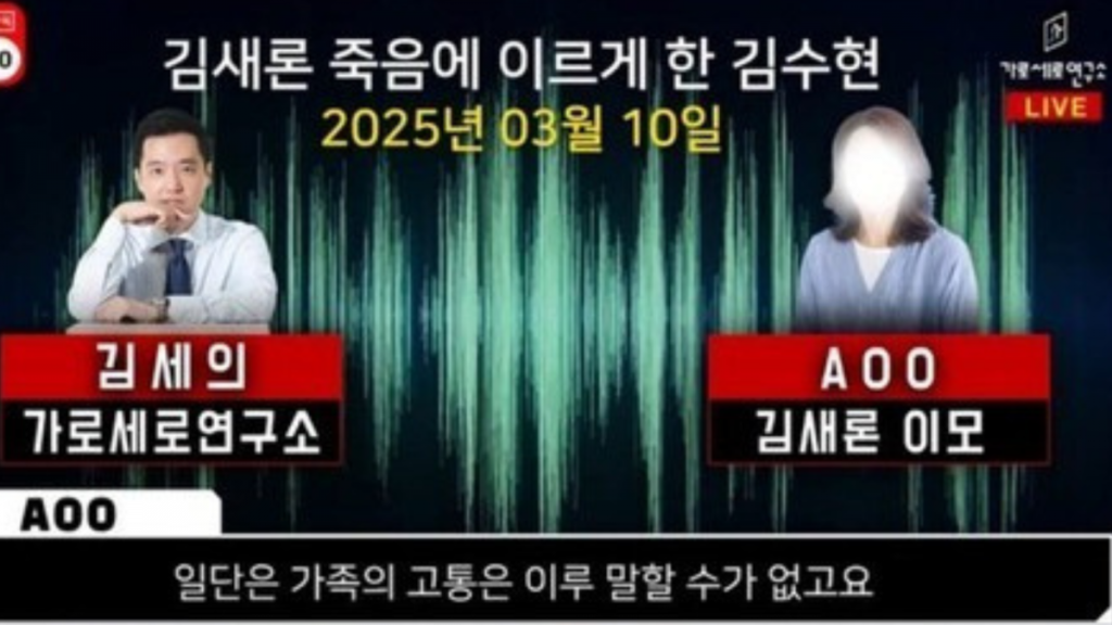 김수현 김새론 의혹을 제기한 가세연(유튜브 ‘가로세로연구소’ 캡처)