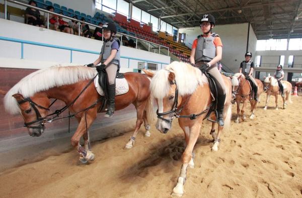 말 의무 등록제·보호센터 만든다…첫 '말산업 육성' 대책