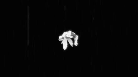 타블로 X RM 협업 ‘스탑 더 레인’ 음원·MV 공개