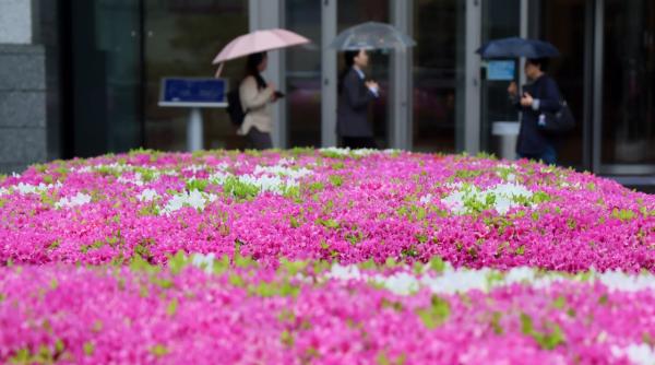 [내일날씨]'황금연휴' 첫날, 우산 챙기세요…전국 흐리고 비