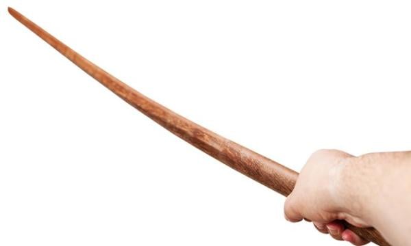 "누가 어질렀냐" 두 딸에 목검 휘두른 아버지…징역 1년·집유