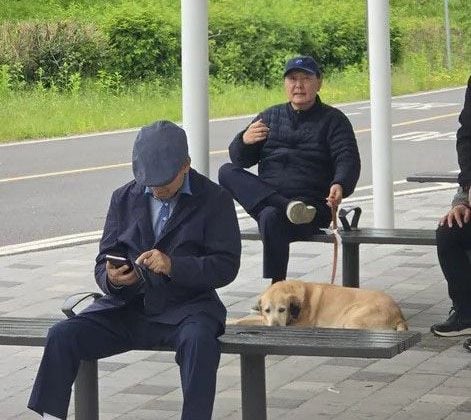 "어린이날 한강공원서 한가로이 개 산책"…윤석열 목격담 또 나와