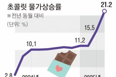 살벌한 ‘초코플레이션’… 치솟는 디저트·과자값[팍팍한 살림살이… 물가 2제]