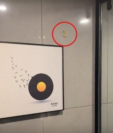 호텔 벽에 콘돔이 ‘턱’…호텔 위생 상태 고발한 中 여성