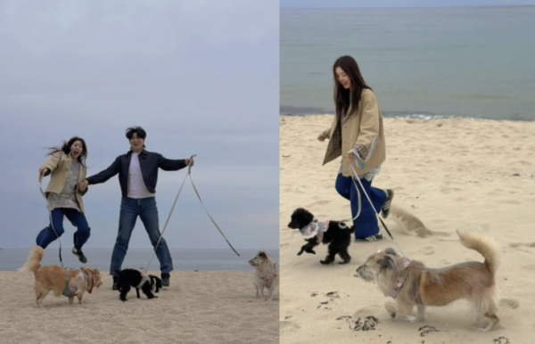 ‘재혼’ 서동주, 결혼 한달 앞두고 ‘새 식구’ 생겼다