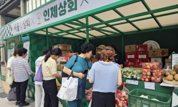 “봄 산나물 지금 아니면 1년 기다려” ...광화문에서 인제산나물 팝업 개장