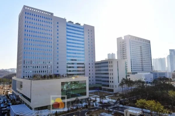 고작 19일 사귄 여자친구 교제 살인 20대, 2심도 무기징역