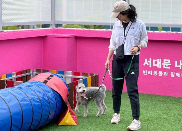 서대문구, 동물등록 자진신고·집중단속 기간 운영