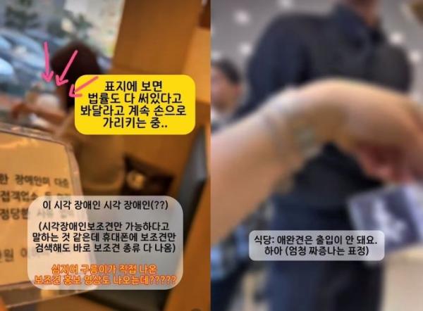 "청각장애인 보조견 거부한 식당, 명백한 차별 행위"