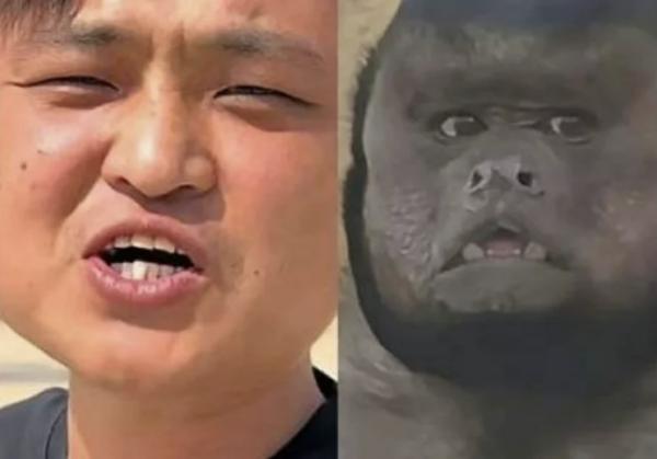 “동네 아저씨인 줄” 사람 닮은 원숭이 中서 화제…‘도플갱어’ 남성 등장