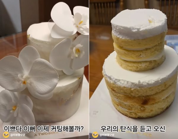 띠지 벗기자 헐벗은 비주얼 “생크림 어디?”… 투썸 케이크 논란, 사실은 [넷만세]