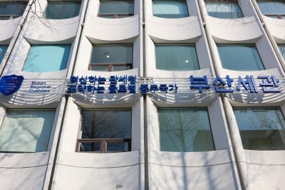 부산신항 몰타 국적 화물선서 ‘2400만명분’ 코카인 720㎏ 적발