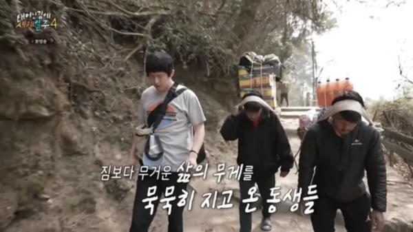 15,000원 벌려고 하루 4번 산 넘는 소년들…기안84도 놀란 셰르파의 세계