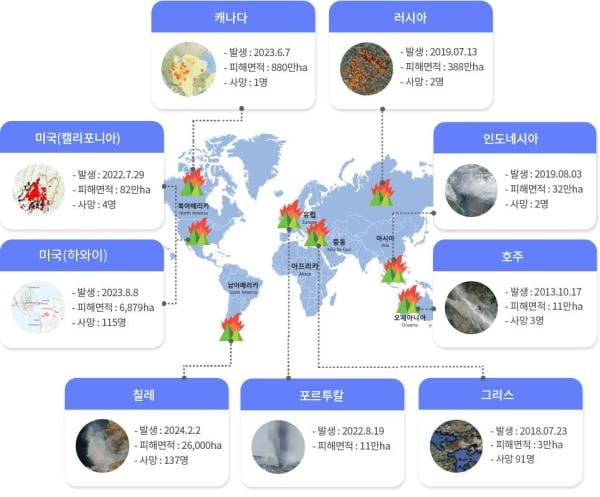 산불 '몸살' 앓는 세계 각국…"임도 활용한 산불 대응 필요"