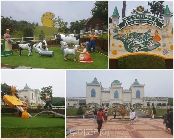 임실가볼만한곳, 치즈 향기 따라 걷는 전북 여행
