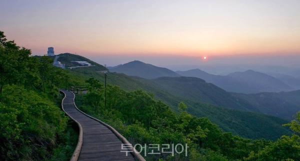 영천가볼만한곳, 전통과 체험이 어우러진 공간