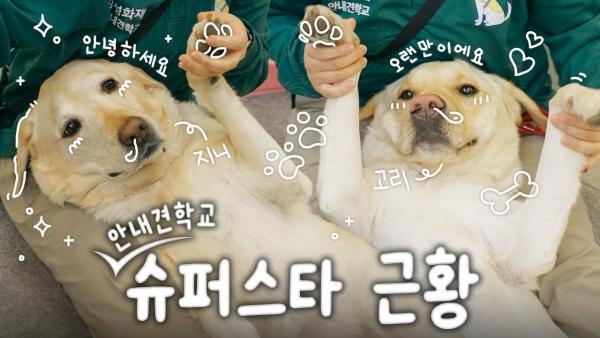 삼성화재, 유튜브채널 1년 만에 구독자 10배 급증