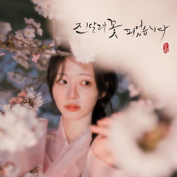 알리, 오늘 19일 '진달래 꽃 피었습니다' 발표! 3년 만의 신보