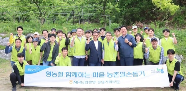 김기동 농협생명 부사장, 여주시 찾아 농촌일손돕기 실시