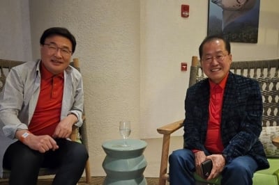 특사단 만난 홍준표 “대선 후 돌아간다”… 국힘, 우군 비협조 모드