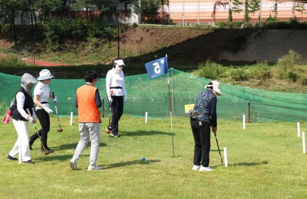 파크골프장 늘리고 대회 열고…서울 파크골프 붐