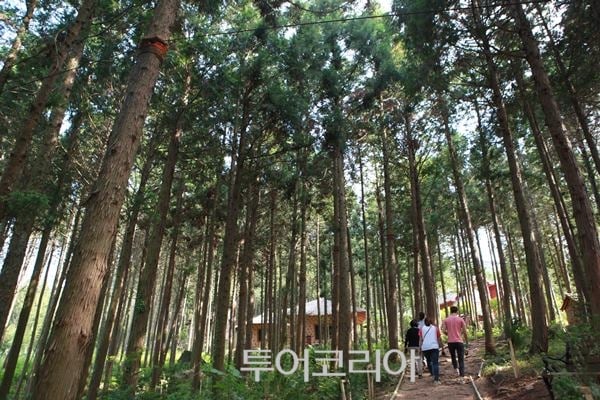 가족과 함께 힐링하기 좋은 장흥 여행지
