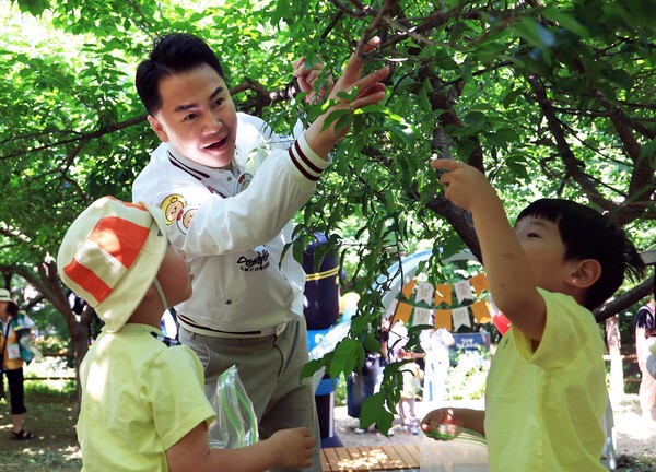 오언석 도봉구청장  매실축제  참석한 어린이들과 매실 수확 모습(사진제공=도봉구청)