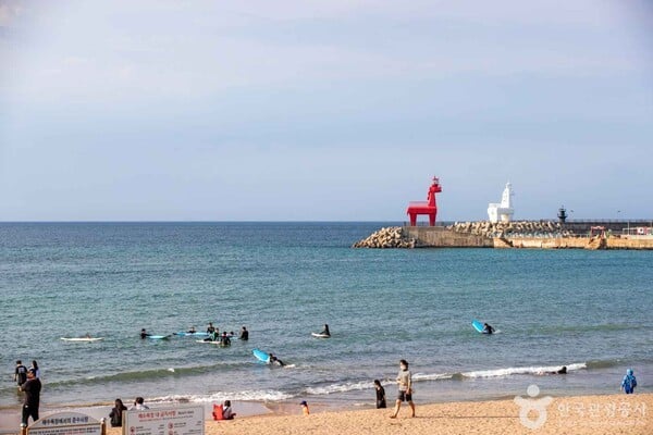 서핑 명소로 떠나는 여름 제주 여행