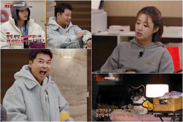 [집 나가면 개호강] “보조견은 다 대형견인 줄” 강소라도 몰랐다…청각장애인 돕는 ‘보청견’ 등장에 시선 집중!