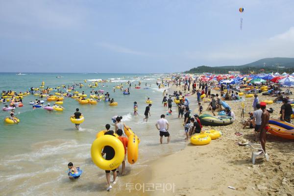 동해시 6개 해수욕장 개장!...비치페스티벌, 비치발리볼 짜릿한 즐길거리 가득