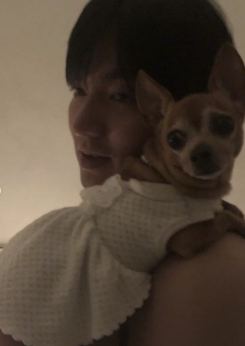 배우 이민호와 반려견 초코의 모습. 이민호 인스타그램 캡처