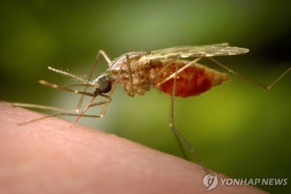 모기 한 방에 고열 증상?…백신도 없는 '이 병', 누적 확진 7700명 돌파