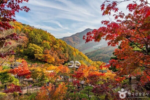 경기도 광주 가볼 만한 곳, 자연 속 휴식과 역사 탐방
