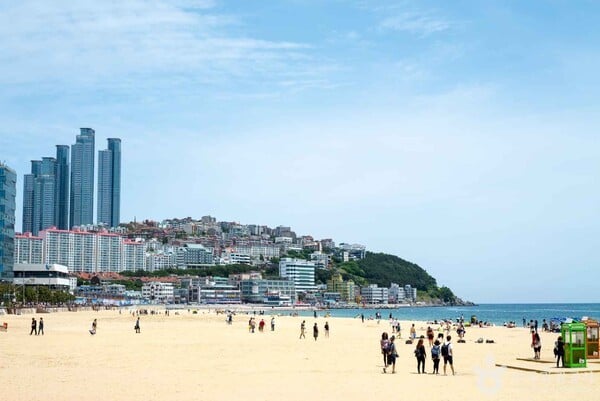해운대 가볼 만한 곳, 바다의 정취와 도시의 활기가 만나는 곳