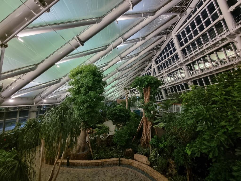 경북 포항시 북구 환호통 환호근린공원에 조성된 식물원 내부. 포항시 제공